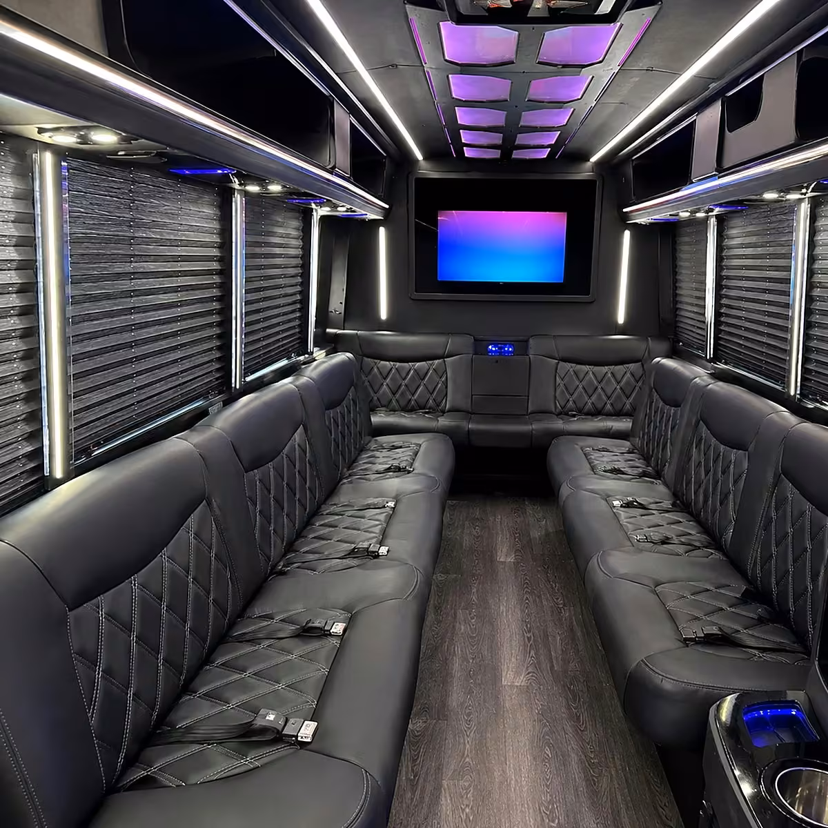 50 passenger party bus inside
