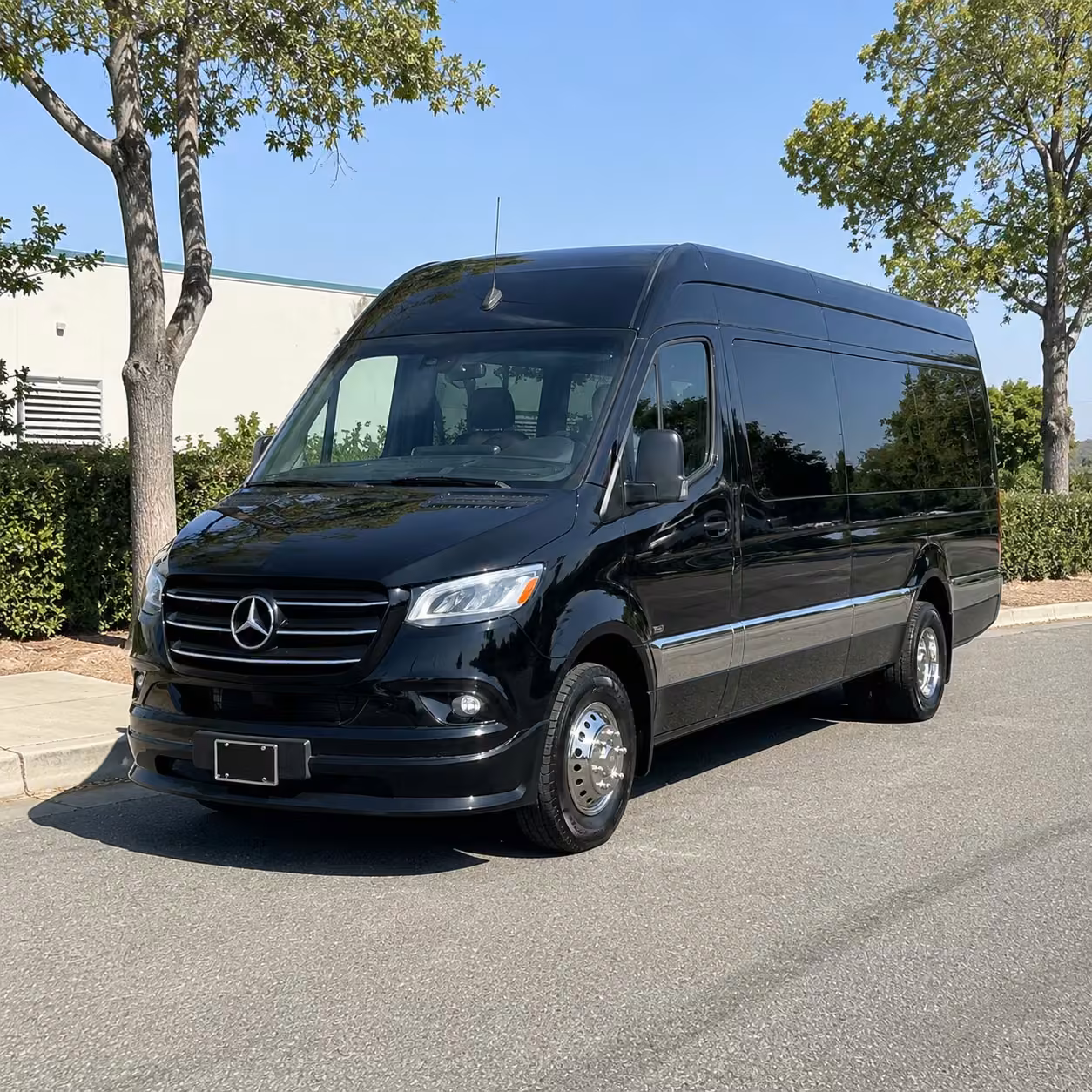 sprinter van rental with driver
